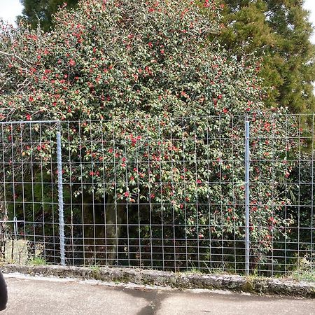 Appartement 体験型農家民泊「お陽さまと風」 à Bungoono Extérieur photo